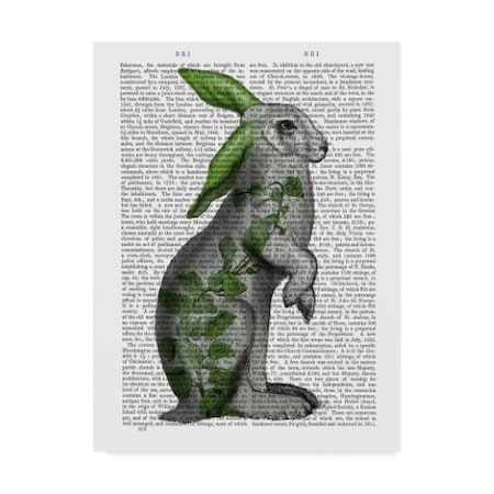 Fab Funky 'Hare With Green Ears' Canvas Art,35x47